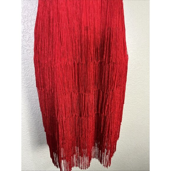 Boston Proper Flapper Mini Dress Size 10 Red Sequin Fringe Salsa Party Holiday - Picture 3 of 10
